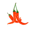 red chilly  isolated on transparent png