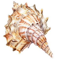 Wall Mural - seashell watercolor illustration, generative AI