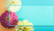 Zinnia flower heads with blue background and copy space with border for Mother's day celebration.