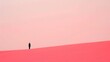 © SkoldPanda - Shades of pink in a Minimalist Art Painting