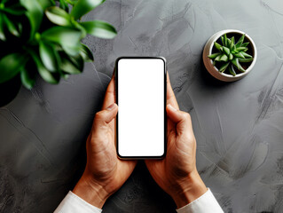 Wall Mural - Hands holding a smartphone with a blank screen, two potted plants, on a grey textured background, concept of technology mockup. Generative AI