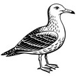 seagull silhouette vector art illustration
