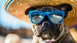 Funny cool French Bulldog dog wearing blue sunglasses and Mexican straw hat in summer on hot day