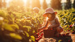 A family harvesting ripe strawberries from neat rows of plants in a patch, copy space, photo shot, day light