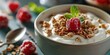 Greek yogurt bowl, granola topping, close-up, creamy texture, morning light, detailed contrast 