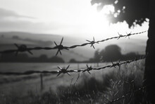 Morning Dew Glistening On Barbed Wire With A Warm Sunrise Illuminating The Background