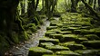 A close-up of a weathered stone path winding through a dense forest, with moss and ferns growing between the cracks