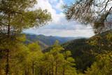Fototapeta Na ścianę - View over the Troodos Mountains on Cyprus   