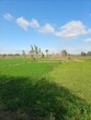 © Ghulamraza - landscape with grass and blue sky
