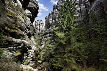 Blick in den Nationalpark Felsenpark