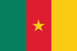 Cameroon flag vector illustration. Cameroon national flag. 
