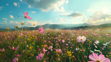 Meadow With Flowers, Cosmos Sonata Flower Field Pink Flower Field