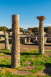 The ruins of the ancient city of Paestum. Ruins of a Greek city. Archaeological Museum of Paestum