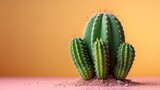 Fototapeta  - Minimalist Mexican Cactus, Vibrant desert flora, a traditional Mexican cactus with minimal detailing on a solid background