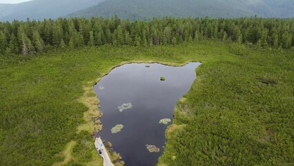 Wall Mural - Drone shot over green fields and a lake with fur trees and green mountains on the horizon