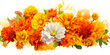 A Symphony of different types of flowers in Full Bloom Against a clear White background