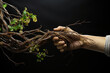 A person holding a tree branch with green leaves. Environmental concept.