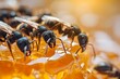 Nutritious Ants honey drop. Animal drop drink. Generate Ai