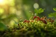 Diligent Ants macro grass. Wild insect worker. Generate Ai