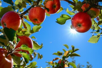 Poster - Vibrant Red green apples. Nutrition ripe. Generate Ai
