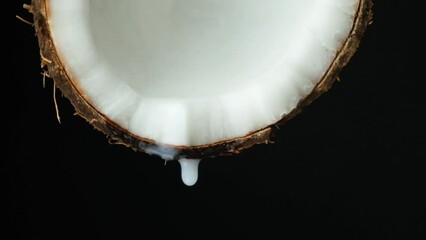 Wall Mural - Coconut water juice dripping from half of a coconut on black background slow motion.
