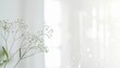 Delicate gypsophila, also known as baby's breath, basking in the soft morning light by a window, creating a pure and tranquil atmosphere, perfect for serene backgrounds and gentle design elements 