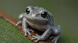 Baby northern gray tree frog on lily pad - Hyla versicolor.generative.ai