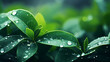 green small fresh rain solar term background