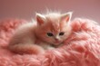 Radiant Cat red light. Adorable feline furry. Generate Ai