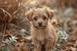 Energetic Baby puppy happy. Funny love. Generate Ai