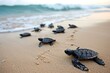 Adventurous Baby turtles on beach sand. Wild ocean newborn sea turtles on coast. Generate ai
