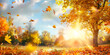 Autumn beech leaves decorate a beautiful nature bokeh background with forest  Autumn scene Bright colorful landscape yellow trees in autumn park Fall nature Autumn Tree and Sun during Sunset