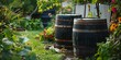 Rainwater collection barrels, garden setup, close-up, water conservation