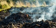 The peat bog burns in the summer. Fire Danger of burning natural materials, natural peat.