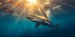 Majestic Shark Swimming in Underwater Sunlit Seascape