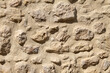 Conchiglia fossile nel muro di pietra