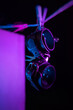 bdsm leather handcuffs hanging on a clothesline in neon light on a black background