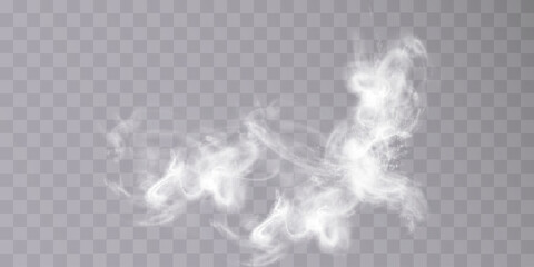 Poster - Texture of steam, smoke, fog, clouds. Vector isolated smoke. Aerosol effect	
