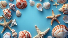 Assorted Seashells And Starfish On Blue Background