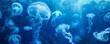 Mesmerizing panorama of glowing jellyfish floating in deep blue ocean waters