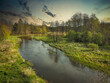 A small wild river in central Poland.