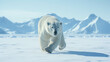 polar bear cub  high definition(hd) photographic creative image