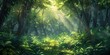 Sunlit Forest Oasis A Verdant Wonderland of Lush Foliage and Ethereal Illumination