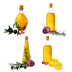 Canvas Print - A set of bottles of flavored olive oil with spices, herbs, hot chili pepper, garlic, lemon, thyme and rosemary and olive branches on white background.