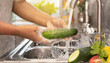 © Carlostock - Hands of a homemaker washing cucumbers in the sink of their home. This is done to maintain good food hygiene and take care of their family always. The fruits were purchased at the supermarket