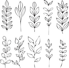 Wall Mural - Set of Leaves thin line icons black on white background