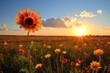 Field of colorful flowers with the sun setting in the background
