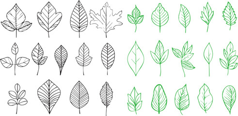 Wall Mural - Set of Leaves thin line icons black and green on white background