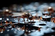Ant World: Intriguing Images of Industrious Insects