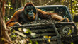 Serious Orangutan Operating Rugged Pickup Truck in Lush Jungle Terrain with Vibrant Foliage and Filtering Sunlight